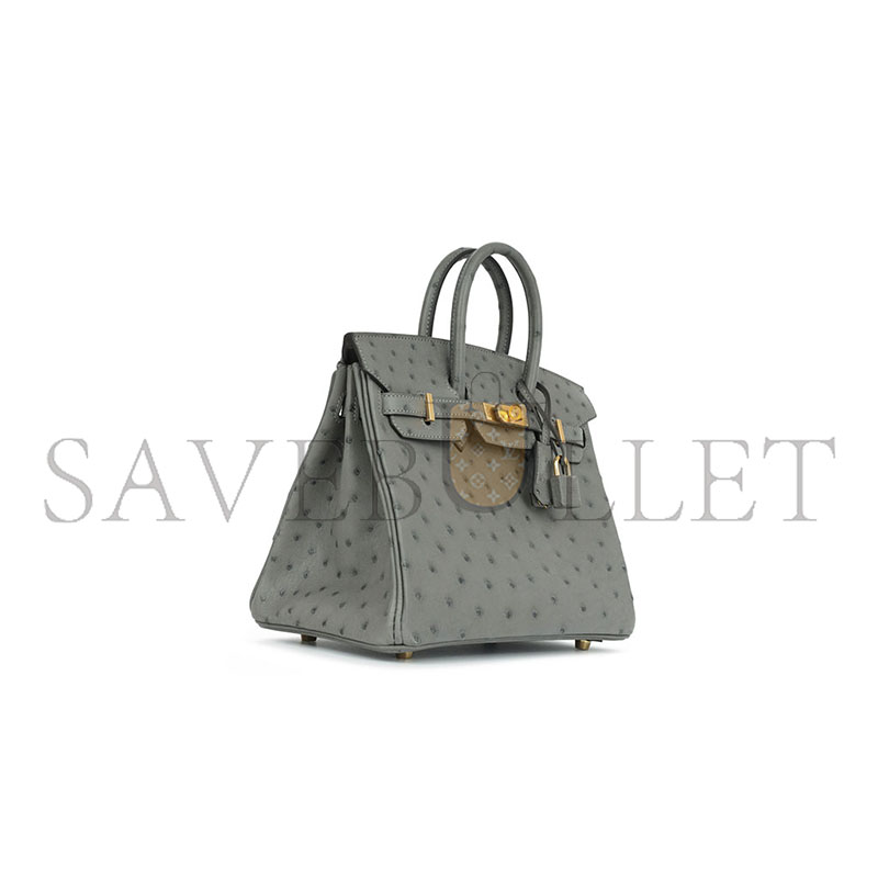 HERMÈS MASTER OSTRICH BIRKIN 25 BIRKIN HANDBAG (25*20*13cm)